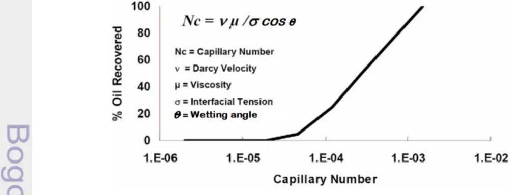 Gambar 7. Hubungan capillary number dengan oil recovery (Chatzis dan Morrow 1994). 