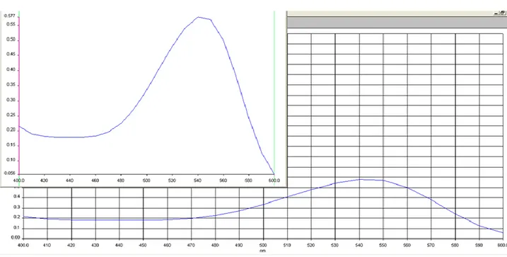 Gambar 2. Spektrum Uv-vis absorbs antosianintersalut maltodekstrin  Berdasarkan  pengukuran  spektrum 