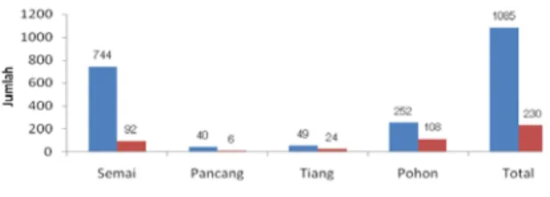 Gambar 2. Grafik jumlah individu Mangifera casturi  pada tingkatan semai, pancang, tiang dan pohon  di Kecamatan GAS dan Kecamatan Gaung,  Provinsi Riau