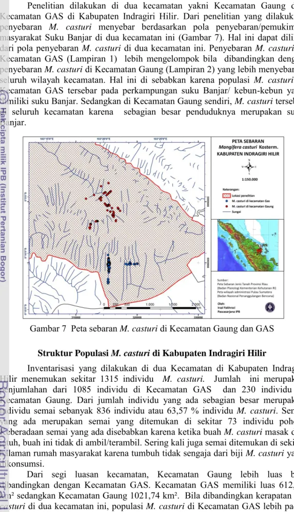 Gambar 7  Peta sebaran M. casturi di Kecamatan Gaung dan GAS  Struktur Populasi M. casturi di Kabupaten Indragiri Hilir 