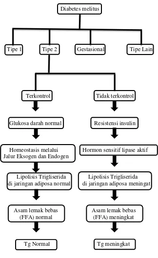 Gambar 2. Kerangka Konsep 