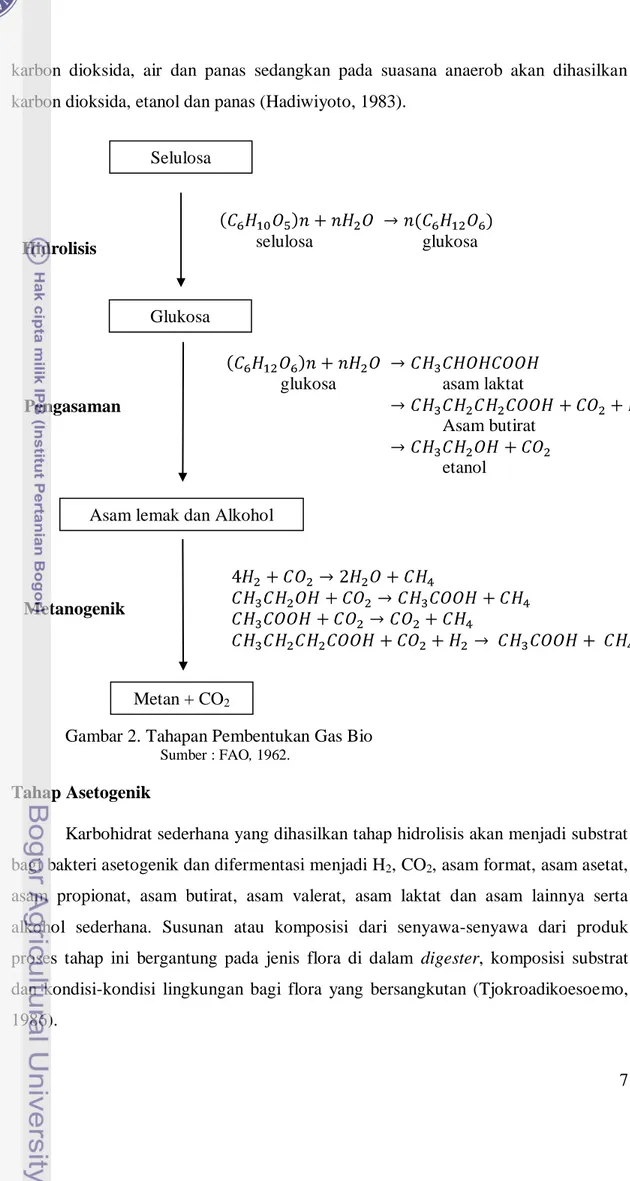 Gambar 2. Tahapan Pembentukan Gas Bio 