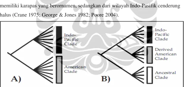 Gambar 1. Pohon filogeni Uca. (A) Indo-Pasifik dan Amerika; (B) Indo-Pasifik dan  Amerika, dengan outgroup Amerika (Rosenberg 2001)