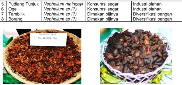 Gambar 4. Pemanfaatan biji Borangan (Nephelium sp 3 ) sebagai bahan makanan 