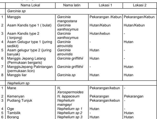 Tabel  4.  Keragaman  Garcinia  sp  dan  Nephelium  sp  dan  tempat  tumbuhnyadi  Kabupaten  Sijunjung 