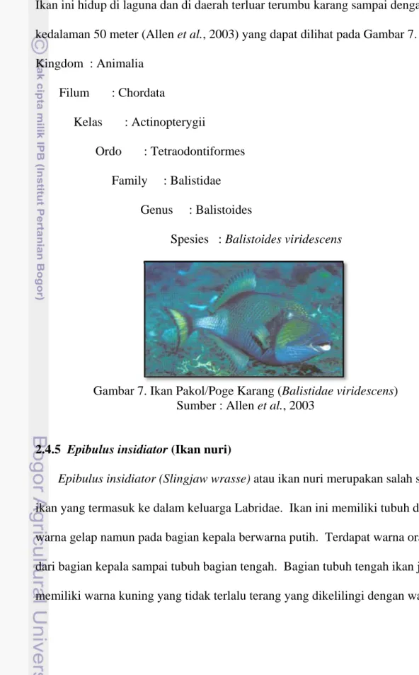 Gambar 7. Ikan Pakol/Poge Karang (Balistidae viridescens)  Sumber : Allen et al., 2003 