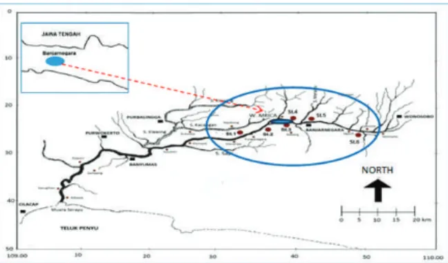 Gambar 1. Peta dan lokasi penelitian di Sungai Serayu  