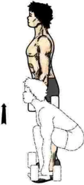 Gambar 2.15 : Dumbbell Squat 