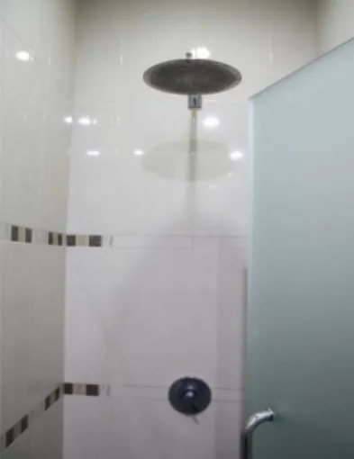 Gambar 11: Tampak dalam ruangan mandi yang menggunakan sistem shower. 