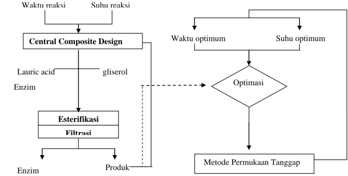 Gambar 14      Diagram alir proses optimasi sintesis monolaurin dengan metode                        circulated packed bed reactor     