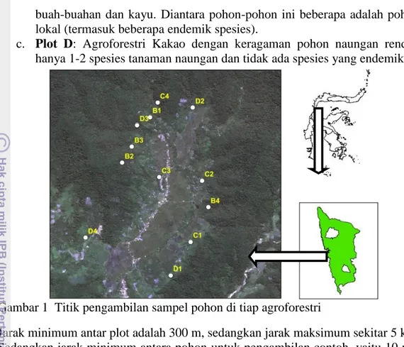 Gambar 1  Titik pengambilan sampel pohon di tiap agroforestri 