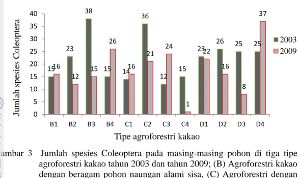 Gambar  3    Jumlah  spesies  Coleoptera  pada  masing-masing  pohon  di  tiga  tipe  agroforestri kakao tahun 2003 dan tahun 2009; (B) Agroforestri kakao  dengan  beragam  pohon  naungan  alami  sisa,  (C)  Agroforestri  dengan  berbagai  macam  pohon  na