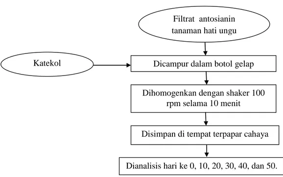 Gambar 10.  Diagram alir proses kopigmentasi antosianin dengan katekol dan  pengamatan