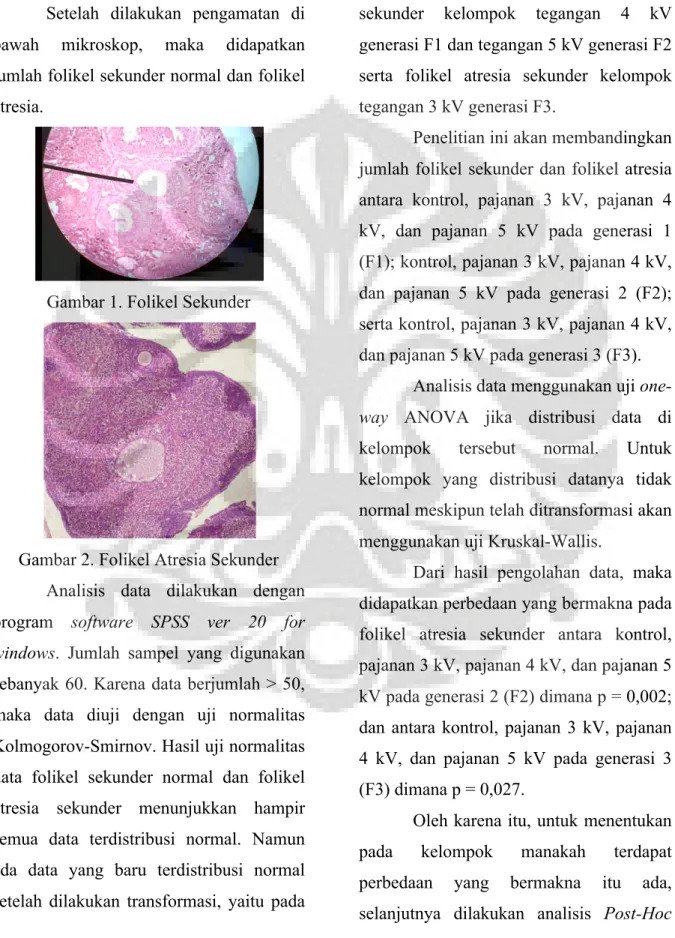 Gambar 1. Folikel Sekunder 
