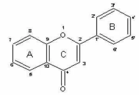 Gambar 5. Struktur flavonoid berfungsi sebagai antioksidan (Markham, 1988) 