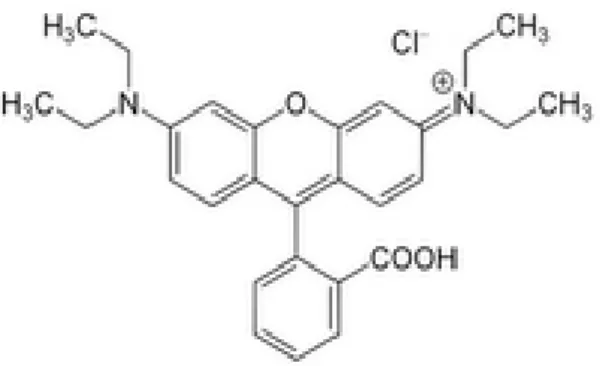 Gambar 1. Struktur kimia Rhodamin B  Sumber : Wisnu ( 2008) 