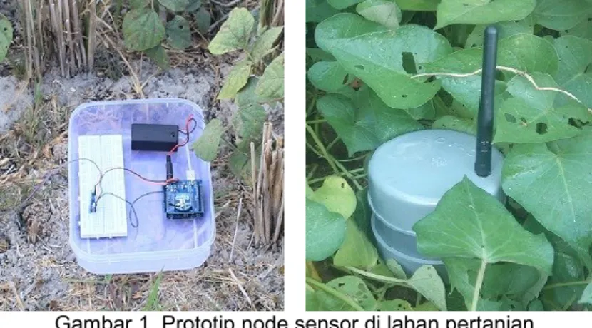 Gambar 1. Prototip node sensor di lahan pertanian      