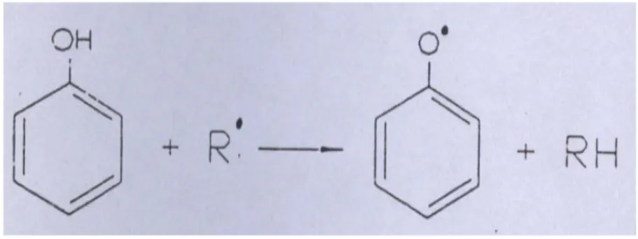 Gambar 2  Mekanisme reaksi gugus fenol dari senyawa fenolik dengan                        senyawa radikal (Ranney 1979) 