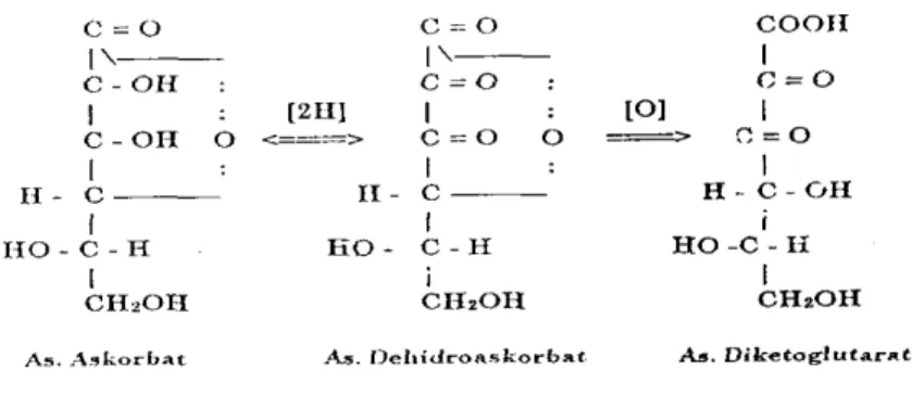 Gambar 6  Struktur kimia tiga bentuk asam askorbat.  