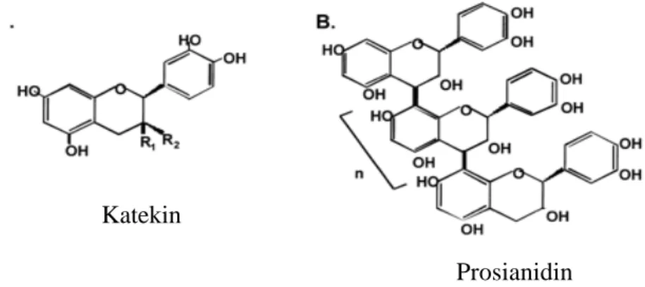 Gambar 1  Struktur kimia senyawa flavonoid yang umum terdapat dalam                      kakao dan produk olahan kakao 