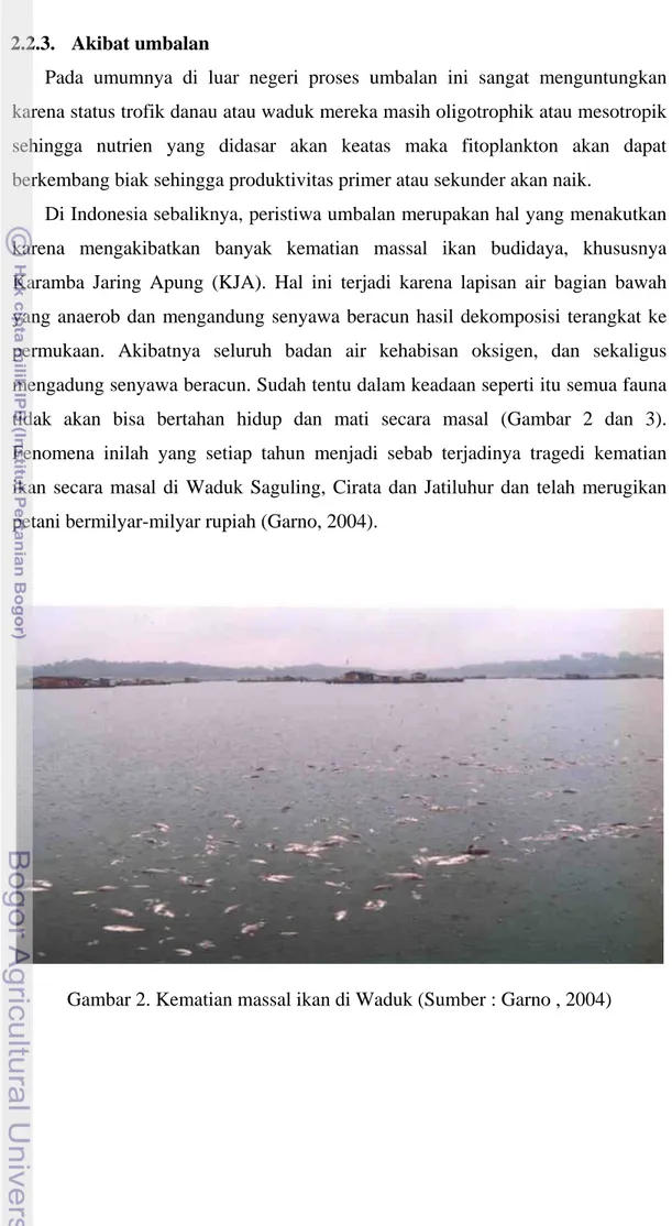 Gambar 2. Kematian massal ikan di Waduk (Sumber : Garno , 2004) 