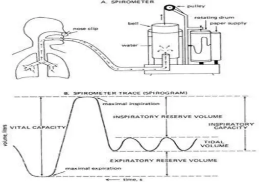 Gambar 2.7 Interpretasi Spirometri (Sumber: Benditt, 2008)