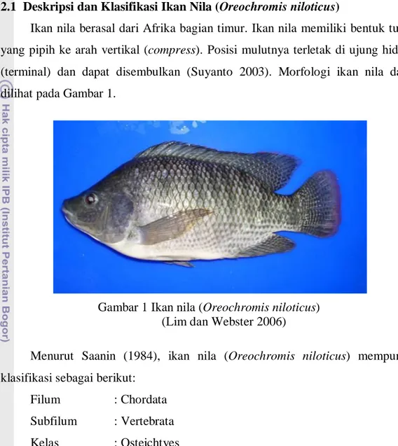 Gambar 1 Ikan nila (Oreochromis niloticus)  (Lim dan Webster 2006) 