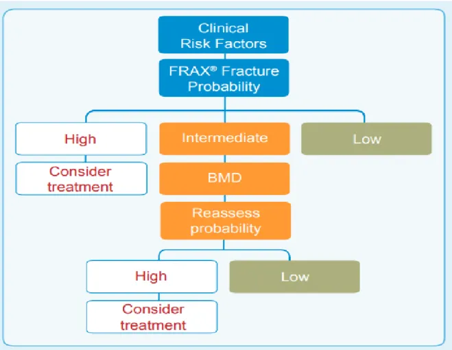 Gambar 4. Penentuan faktor resiko dengan FRAX dan intervensi dini yang dilakukan (IOF,  2009)