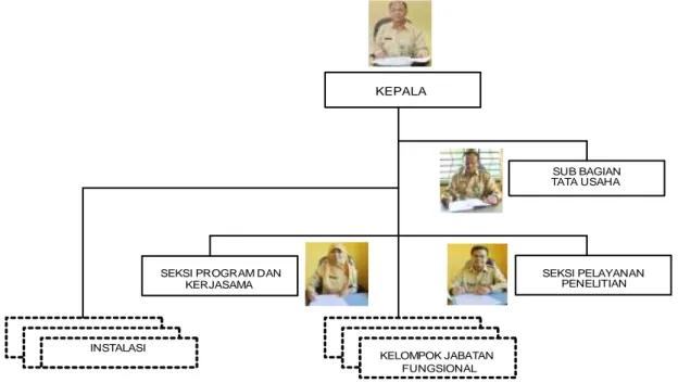 Gambar 1. Struktur Organisasi Balai Litbang P2B2 Banjarnegara Menurut Peraturan  Menteri Kesehatan RI Nomor 920 / Menkes/Per/V/2011 