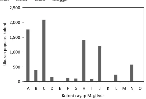 Gambar 8 Ukuran  populasi M. gilvus  pada   blok III 