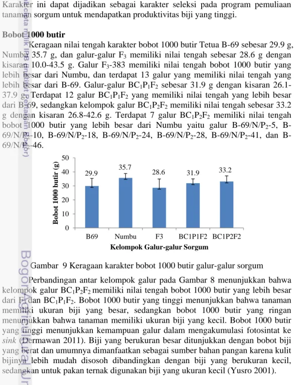 Gambar  9 Keragaan karakter bobot 1000 butir galur-galur sorgum 