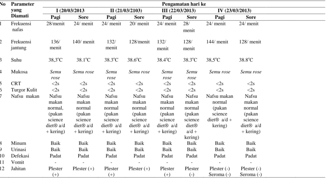 Tabel 1. Hasil Observasi Boli Post Operatif Kastrasi  No  Parameter  yang   Diamati  Pengamatan hari ke I (20/03/2013 II (21/03/2103) III (22/03/2013)  IV (23/03/2013) 