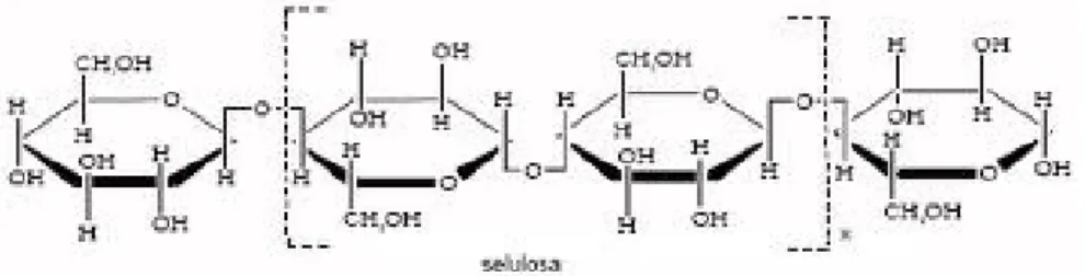 Gambar 1 Struktur kimia serat-serat selulosa 