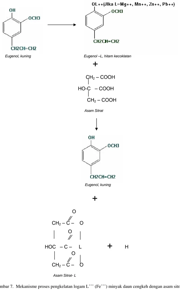 Gambar 7.  Mekanisme proses pengkelatan logam L +++  (Fe +++ ) minyak daun cengkeh dengan asam sitrat