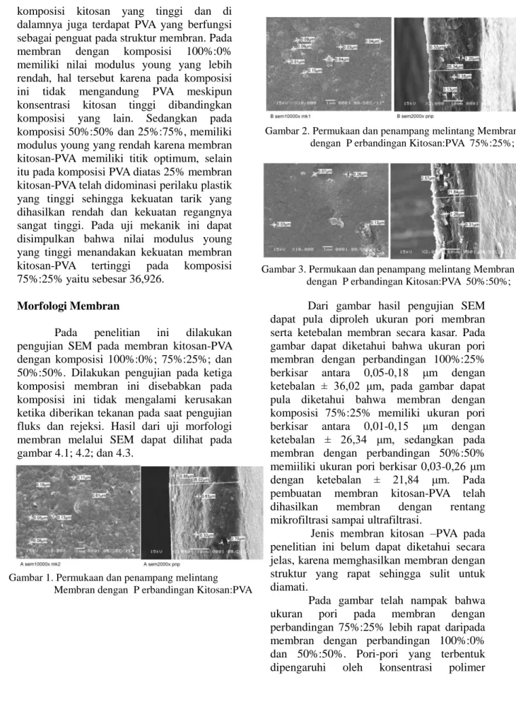 Gambar 2. Permukaan dan penampang melintang Membran  dengan  P erbandingan Kitosan:PVA  75%:25%; 