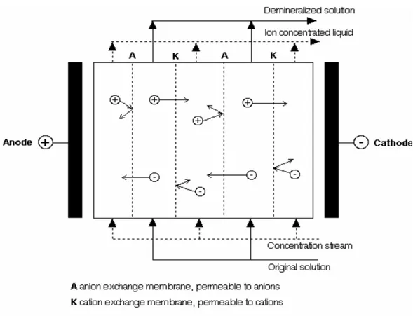 Gambar 2    Mekanisme Proses Pada Elektrodialisis (Mulder, 1991) 