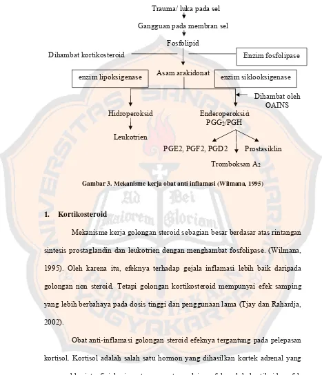Gambar 3. Mekanisme kerja obat anti inflamasi (Wilmana, 1995) 