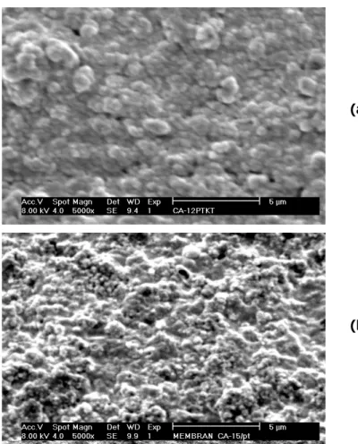Gambar 7  Membran yang telah terkotori (tampak mendatar) dari membran  CA-12: (a) umpan limbah tanpa pretreatment; (b) umpan limbah dengan  pretreatment