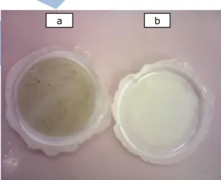 Gambar 2.  Membran  setelah  filtrasi  meng- meng-gunakan  umpan  limbah  laundry  (a) dan aquades (b)