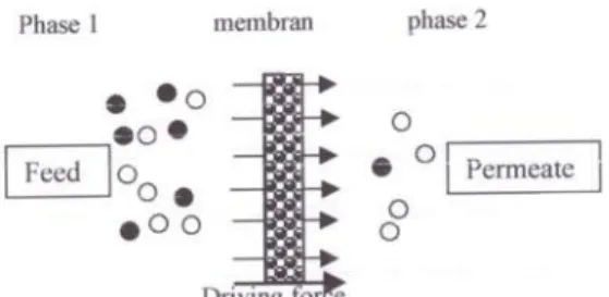 Gambar 1.   Pemisahan Partikel oleh Membran (Wenten 1999). 