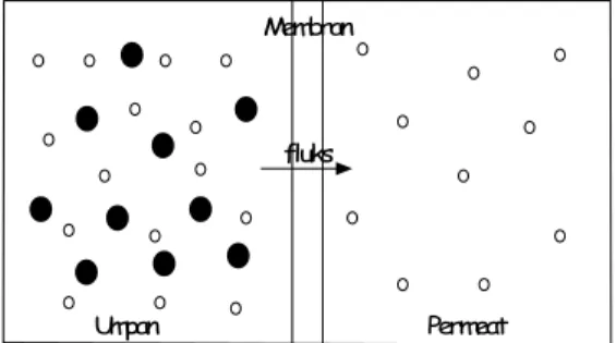Gambar 2.2 Struktur Molekul PMMA [Wikipedia, 2008]