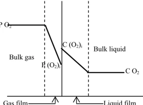 Gambar 1. Teori dua-film perpindahan massa oksigen (gas-cair) 