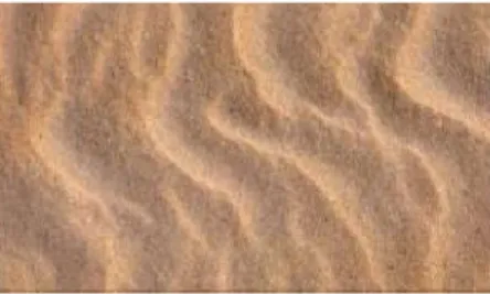 Gambar 25. Tekstur alami seadanya – pasir