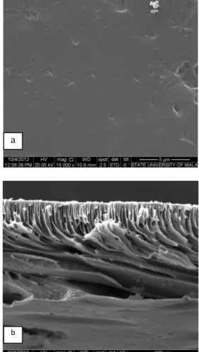 Gambar 2. Pengamatan fluks membran UF pada TMP  1 bar pada emulsi minyak yang berbeda 