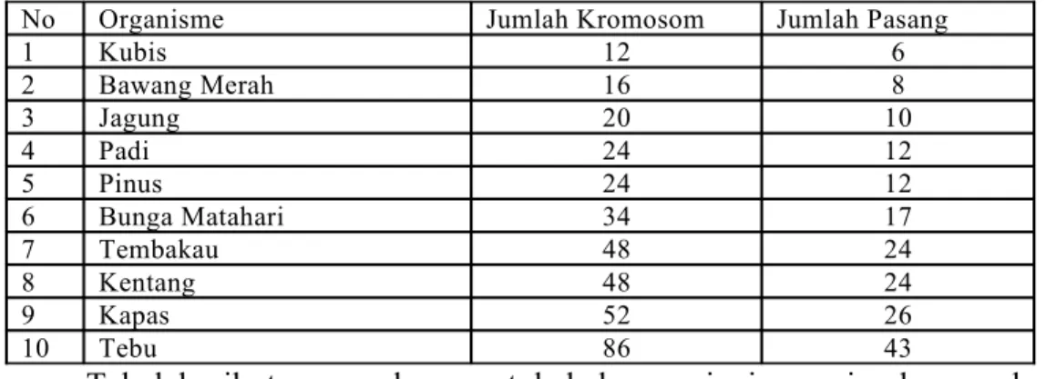 Tabel  berikut  merupakan  contoh   beberapa  jenis   species  hewan  dan  manusia dengan jumlah kromosom yang dimiliki: