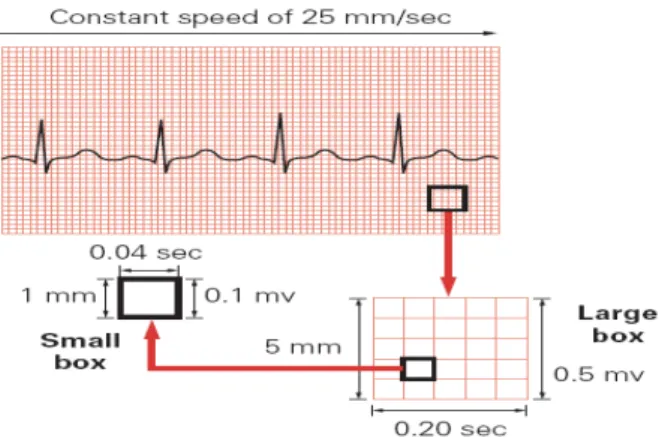 Gambar 1. Skala pada kertas rekam EKG