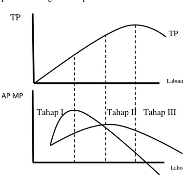 Gambar 2.2 Kurva Total Produksi, Produksi Marginal dan Produksi Rata –  RataPada Fungsi Produksi Dengan Satu Input Variabel 