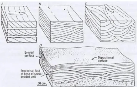 Gambar 19. Cross bedding : a. tabular set, b. wedge set,   c. trough set, d. hummocky cross bedding