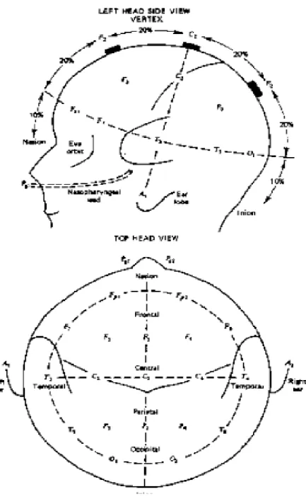 Figure 9. The 10-20 EEG electrode placement system.