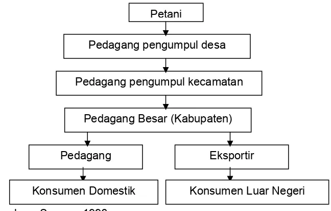 Gambar 2. Saluran Pemasaran Kopi Arabika di Sulawesi Selatan 